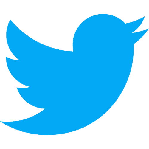 Social-Media-Marketing Twitter Icon